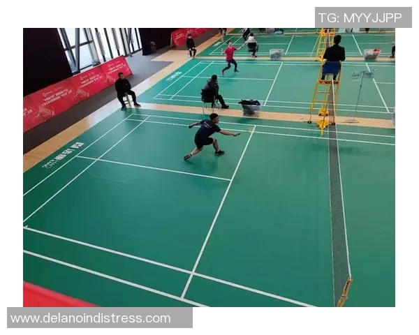 西安羽毛球队与重庆羽毛球队赛后分析力量对比与战术探讨